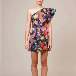 Finders Keepers Coco Cabana Mini Dress